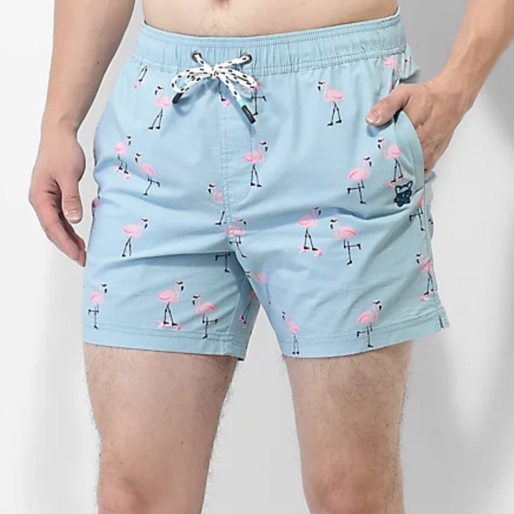 Zumiez Party Pants Cruiser Flamingoes Sky Blue Board Shorts